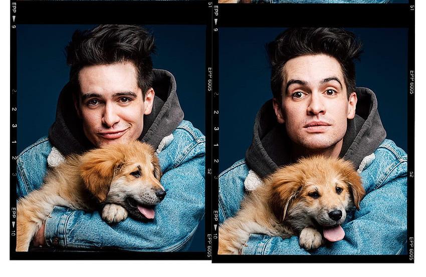 Panic! At The Disco ─ Pretty. Odd.: у нас можно купить переиздание второго альбома группы