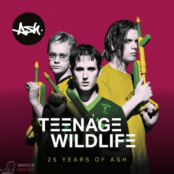 Ash Teenage Wildlife - 25 Years Of Ash 2 LP
