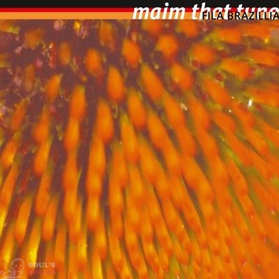 FILA BRAZILLIA - MAIM THAT TUNE 2 LP