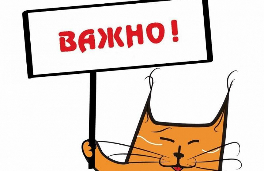 Важности в Soul’s Sound: еще раз про условия покупки в Black Friday