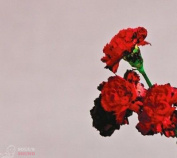 JOHN LEGEND - LOVE IN THE FUTURE CD