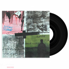 Nothing But Thieves Stray Dogs LP